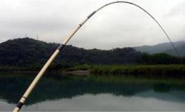 选鱼竿,后堵加不加配重,垂钓场合不同