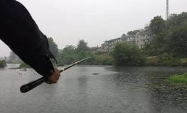 鲫鱼竿能钓鲤鱼吗,论鲫竿鲤竿综合竿的区别